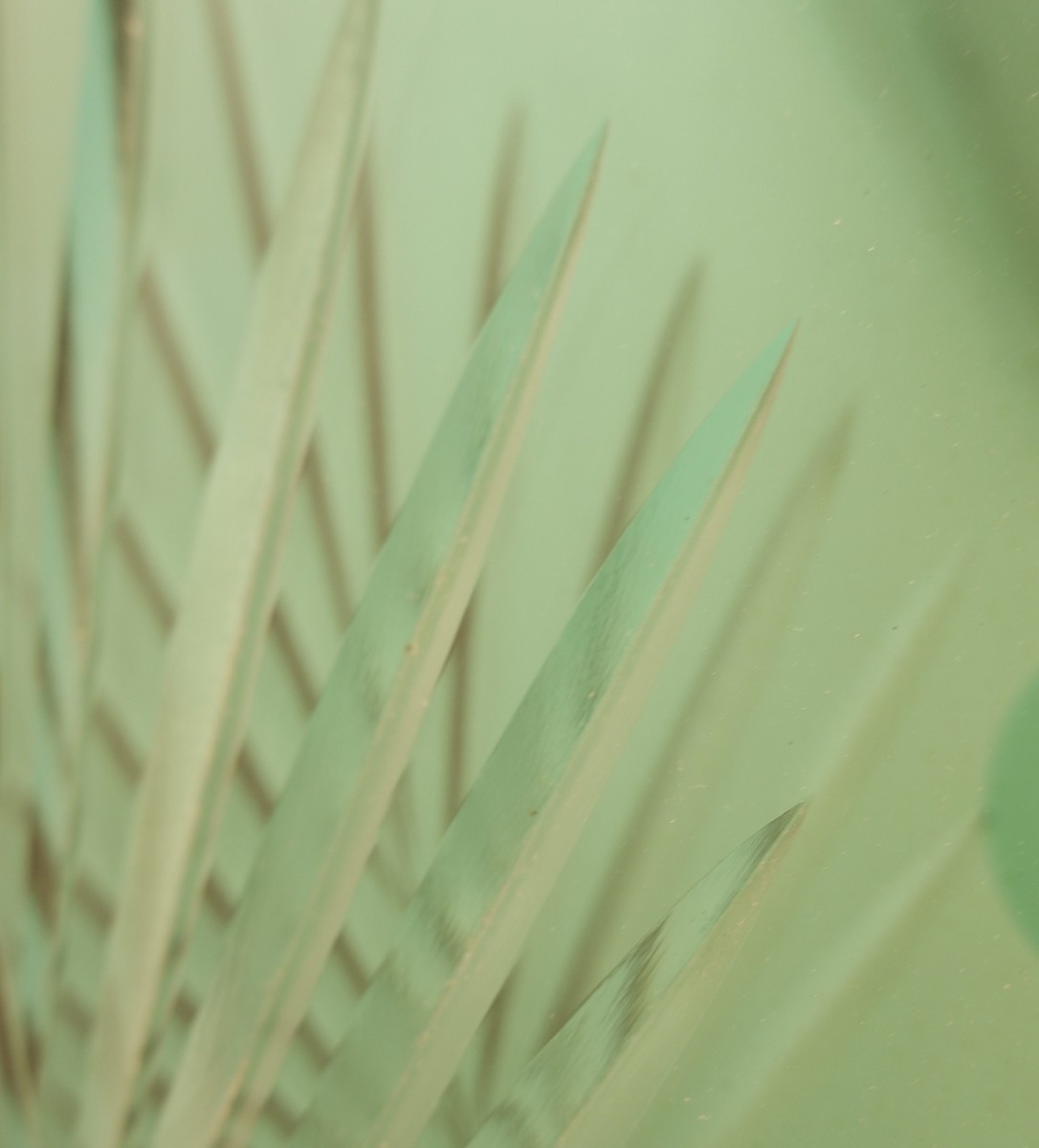 console mirror with decorative panel in green vegetable engraved crystal - green crystal top - Italy