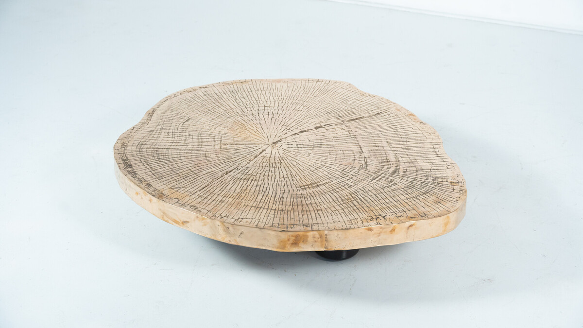 Contempory Tree Trunk Coffee Table, Bronze