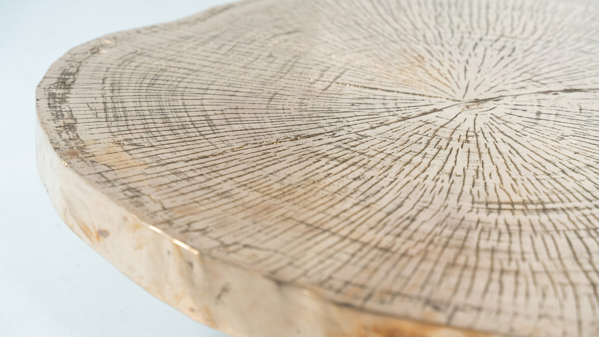 Contempory Tree Trunk Coffee Table, Bronze