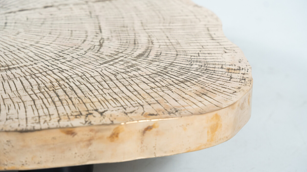 Contempory Tree Trunk Coffee Table, Bronze