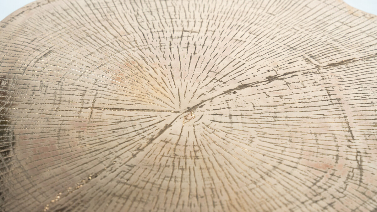 Contempory Tree Trunk Coffee Table, Bronze