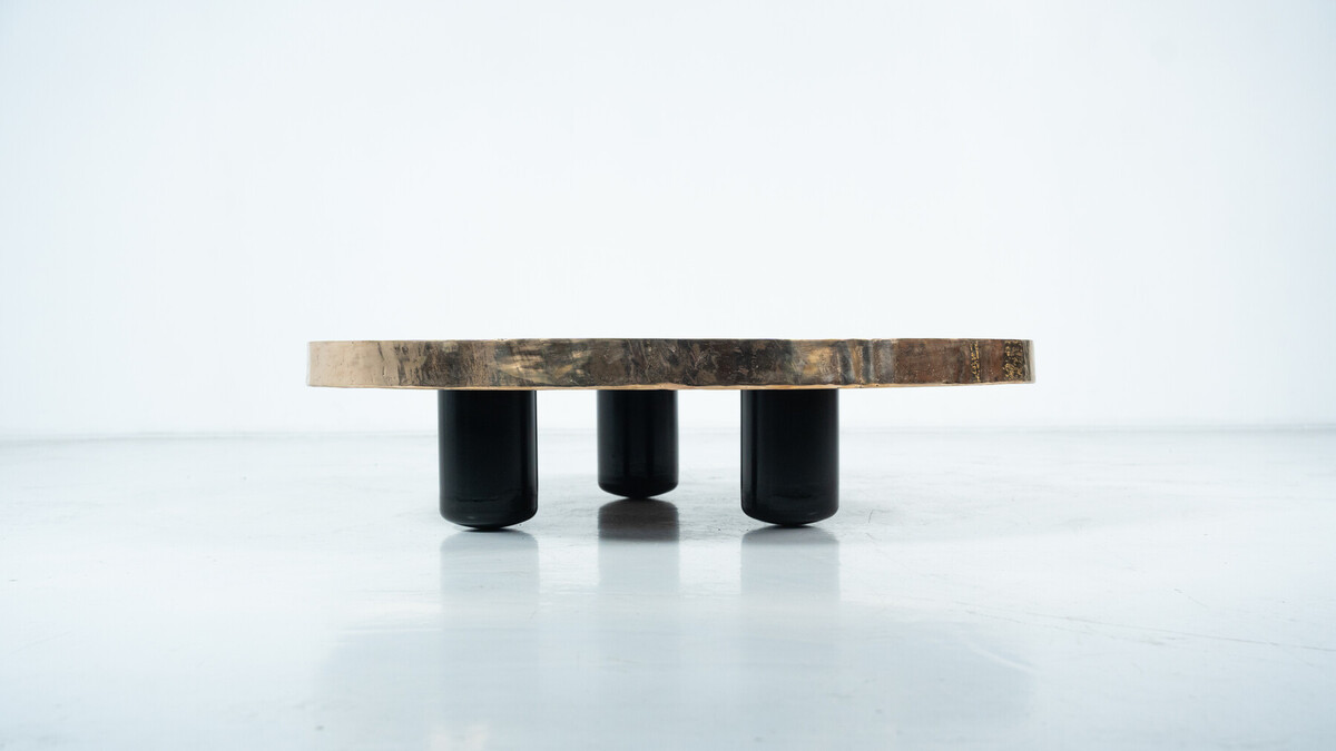 Contempory Tree Trunk Coffee Table, Bronze