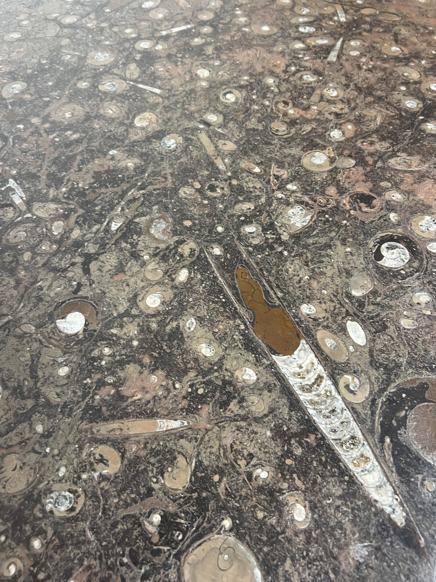 Fossil Stone Coffee Table by Heinz Lilienthal, 1980s