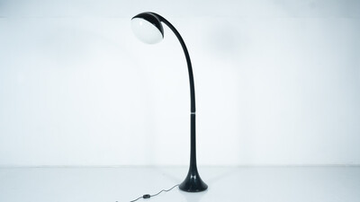 Lampione Floor Lamp by Fabio Lenci for Guzzini,1970s