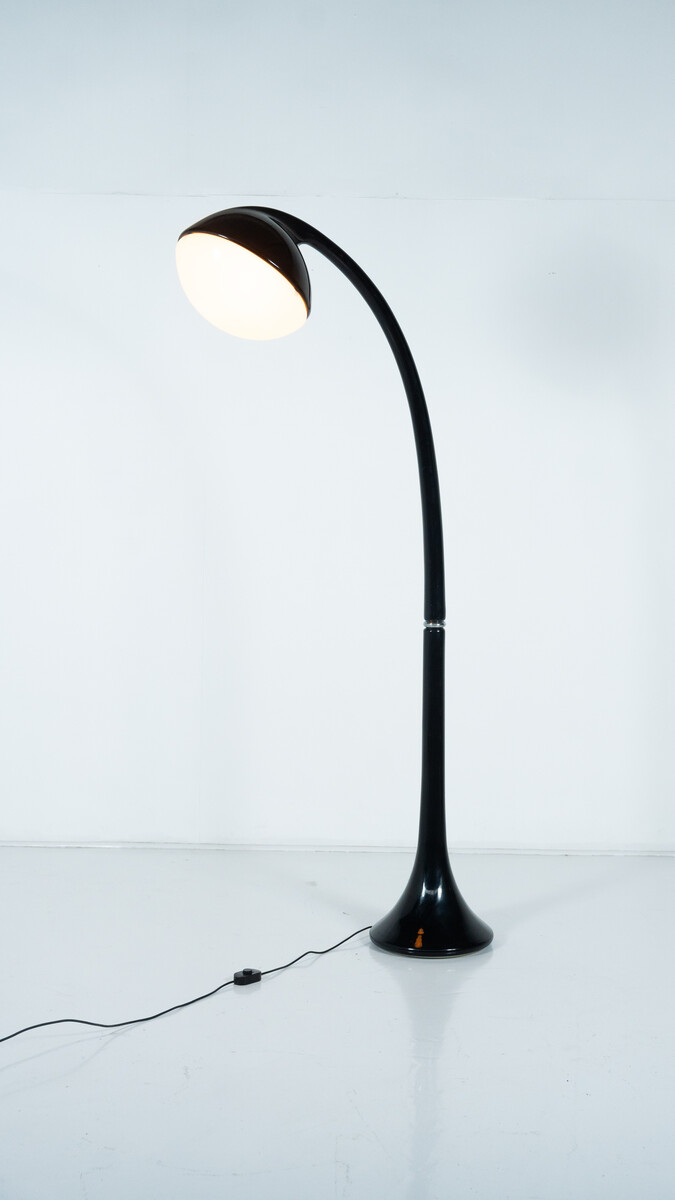Lampione Floor Lamp by Fabio Lenci for Guzzini,1970s