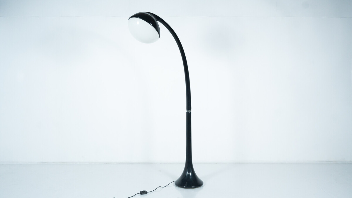 Lampione Floor Lamp by Fabio Lenci for Guzzini,1970s