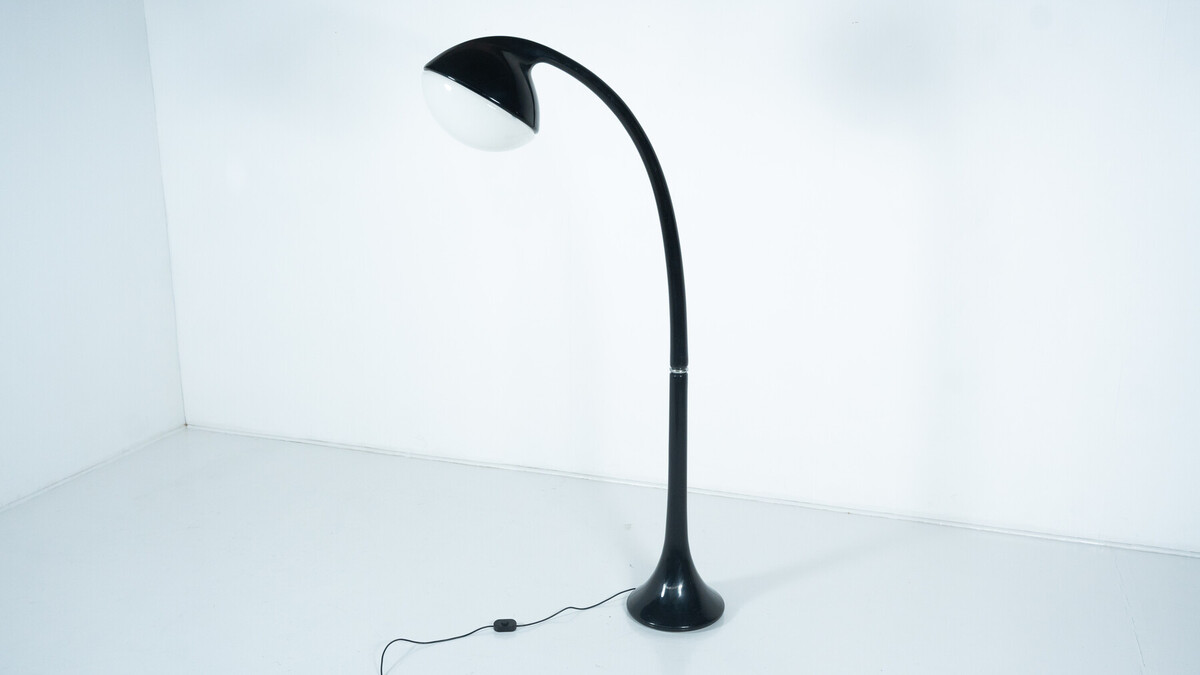 Lampione Floor Lamp by Fabio Lenci for Guzzini,1970s