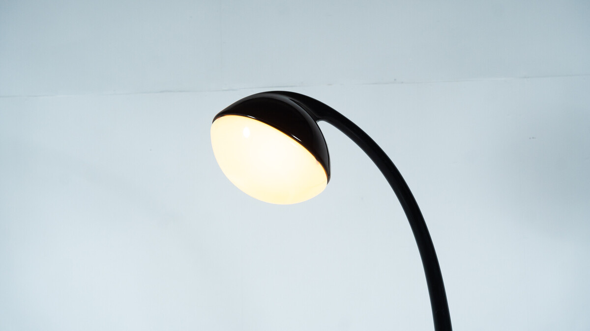 Lampione Floor Lamp by Fabio Lenci for Guzzini,1970s