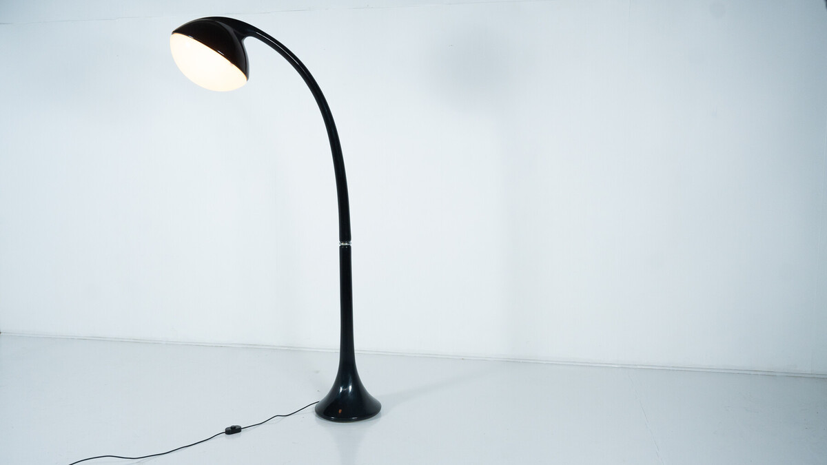 Lampione Floor Lamp by Fabio Lenci for Guzzini,1970s