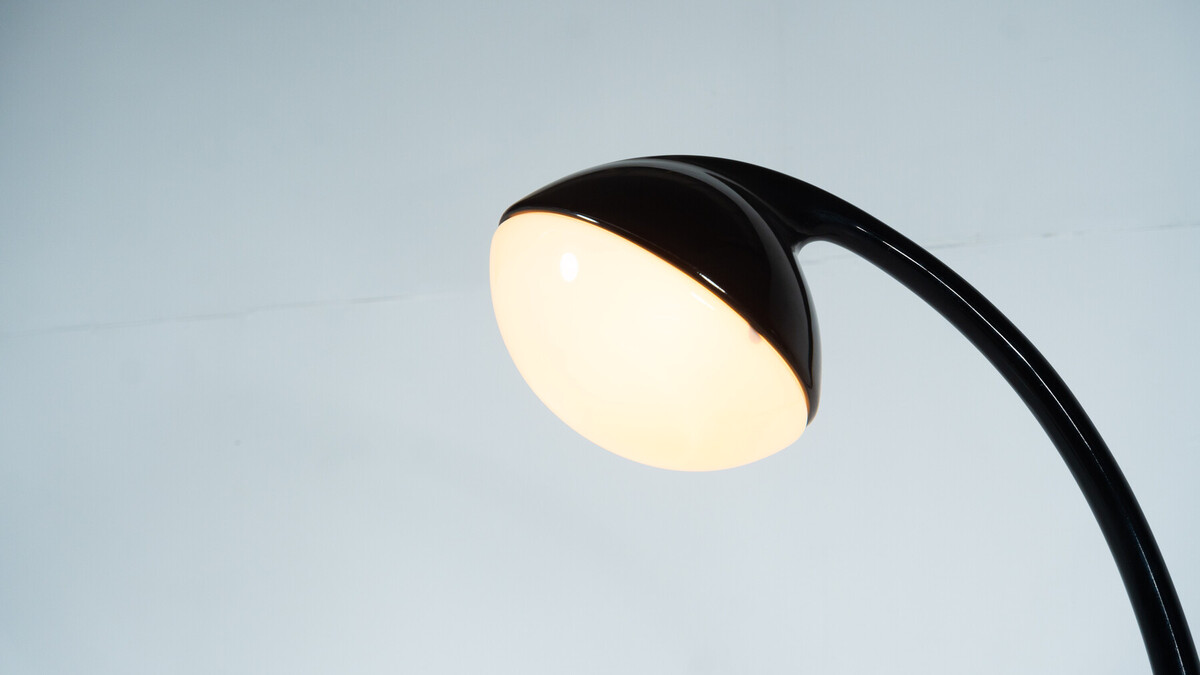 Lampione Floor Lamp by Fabio Lenci for Guzzini,1970s