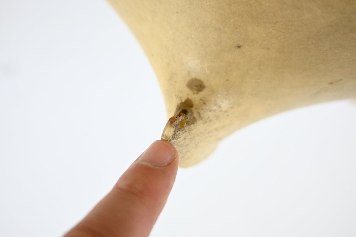 Large Taraxacum Hanging Lamp by Achille & Pier Giacomo Castiglioni for Flos 1960