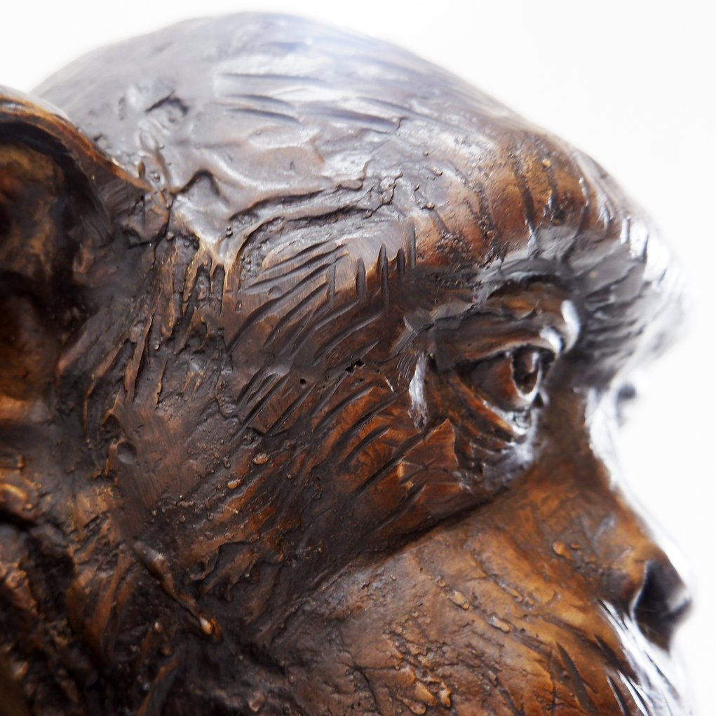 Life-size Chimpanzee Sculpture in Bronze 