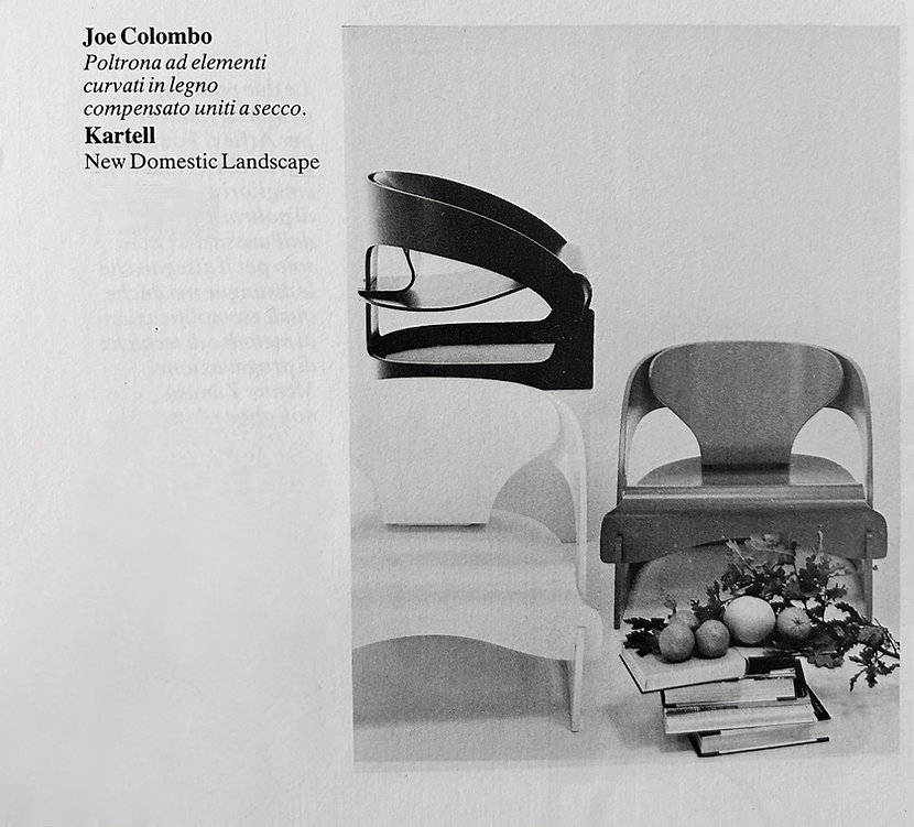 Model 4801 Armchairs by Joe Colombo for Kartell, 1960s, set of 2