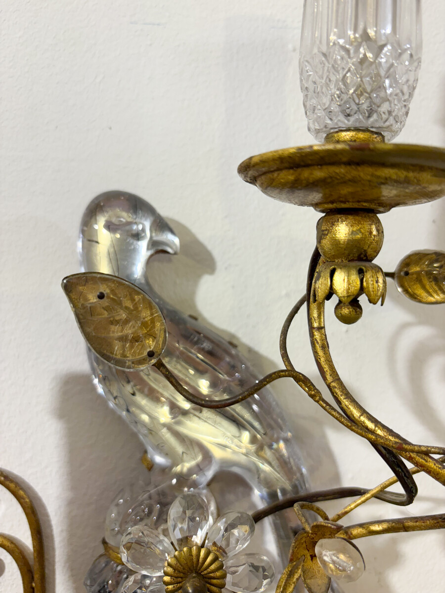 Pair of Parrot Wall lights Maison Baguès - 2 pairs available