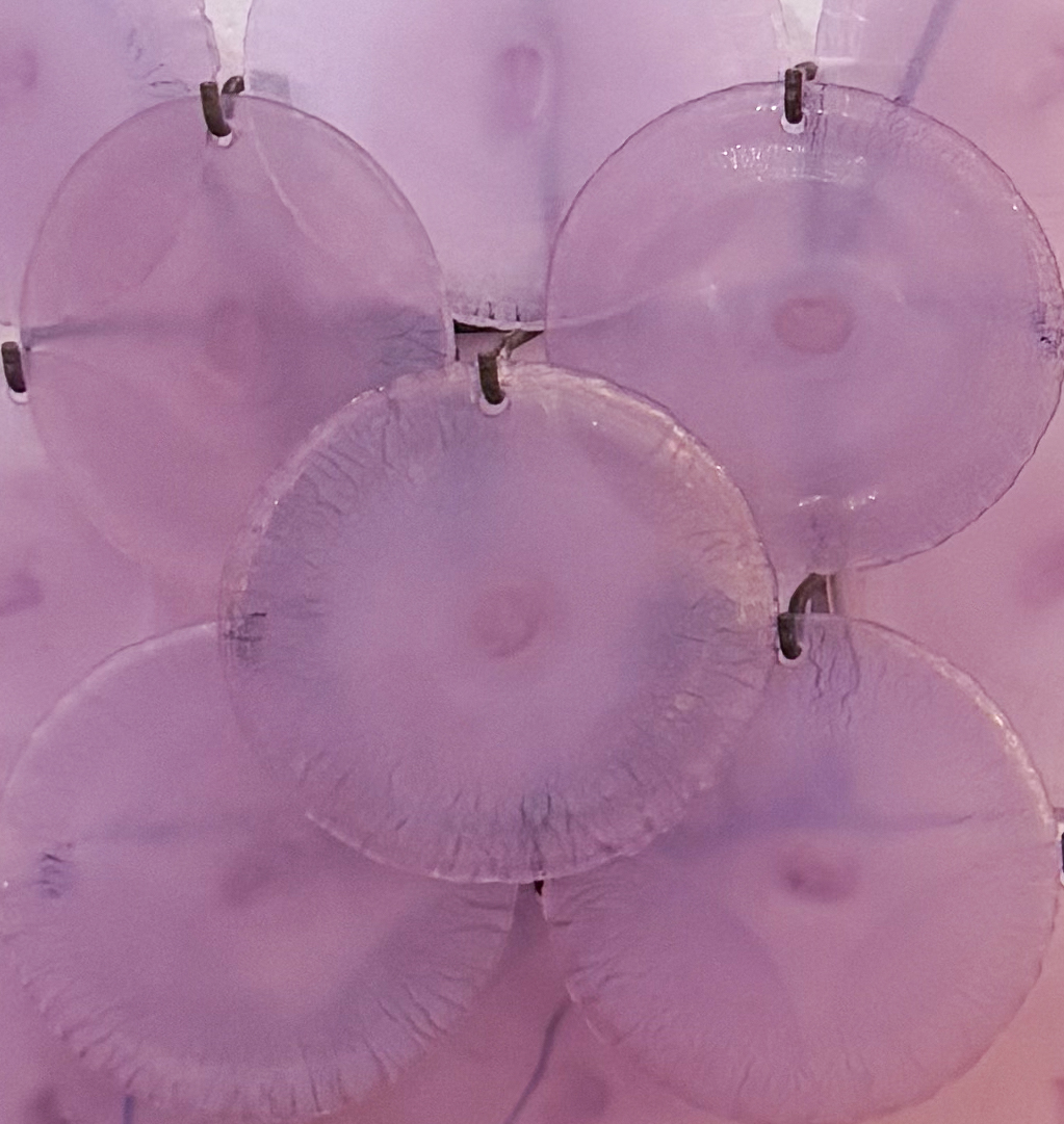 Pair of Purple Discs Wall Lights by Carlo Nason, 1960s