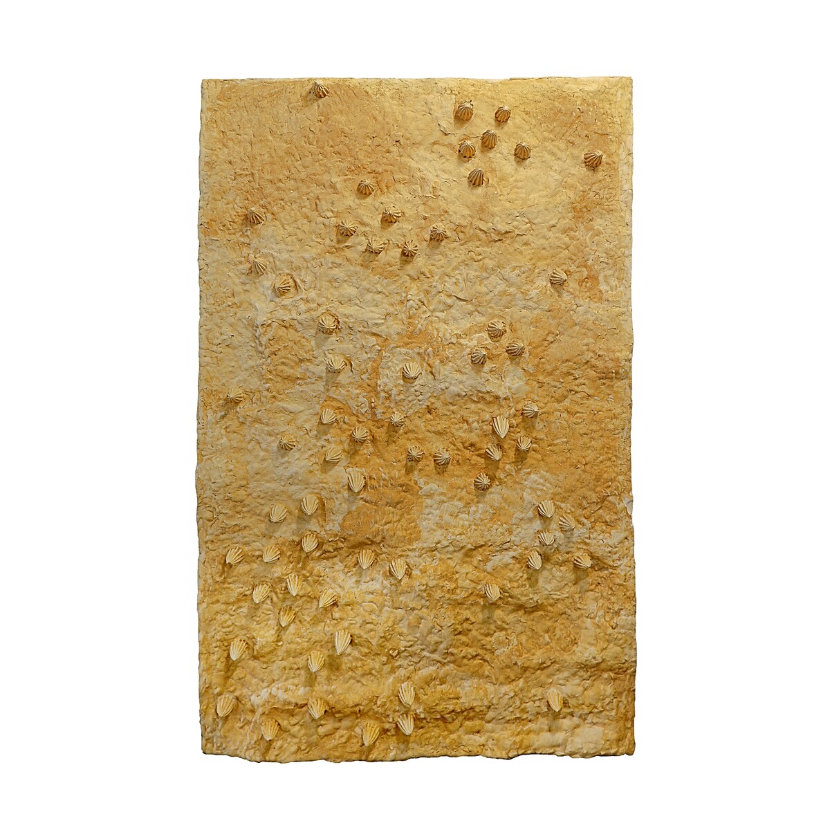 Plaster wall sculpture