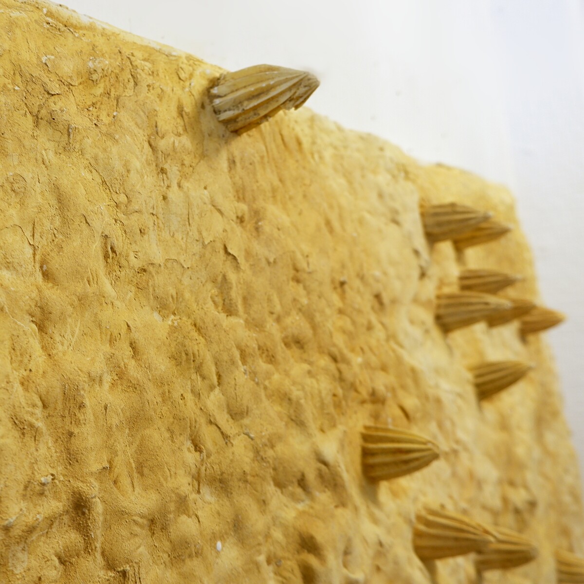 Plaster wall sculpture