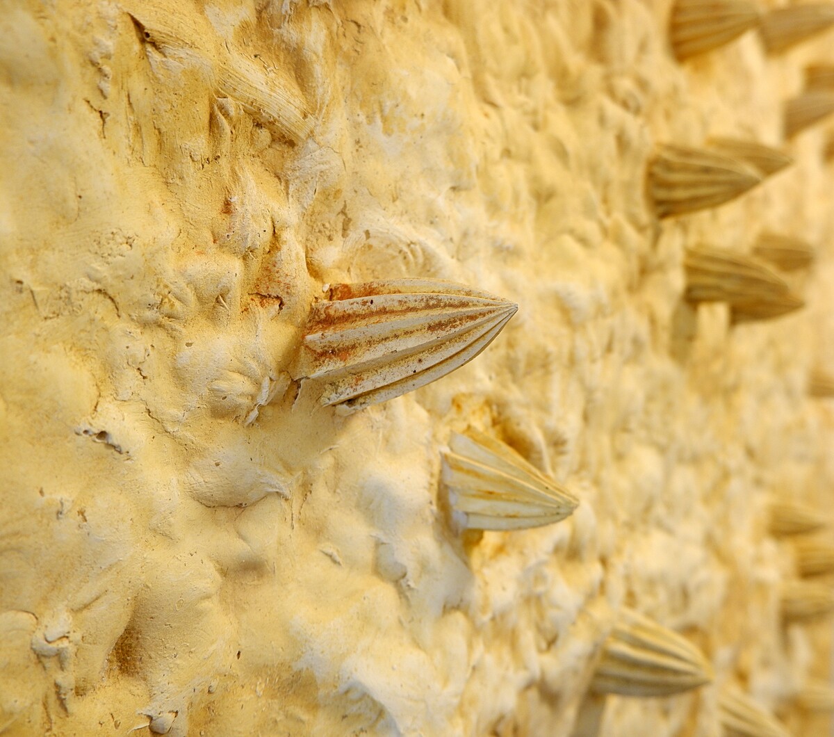 Plaster wall sculpture