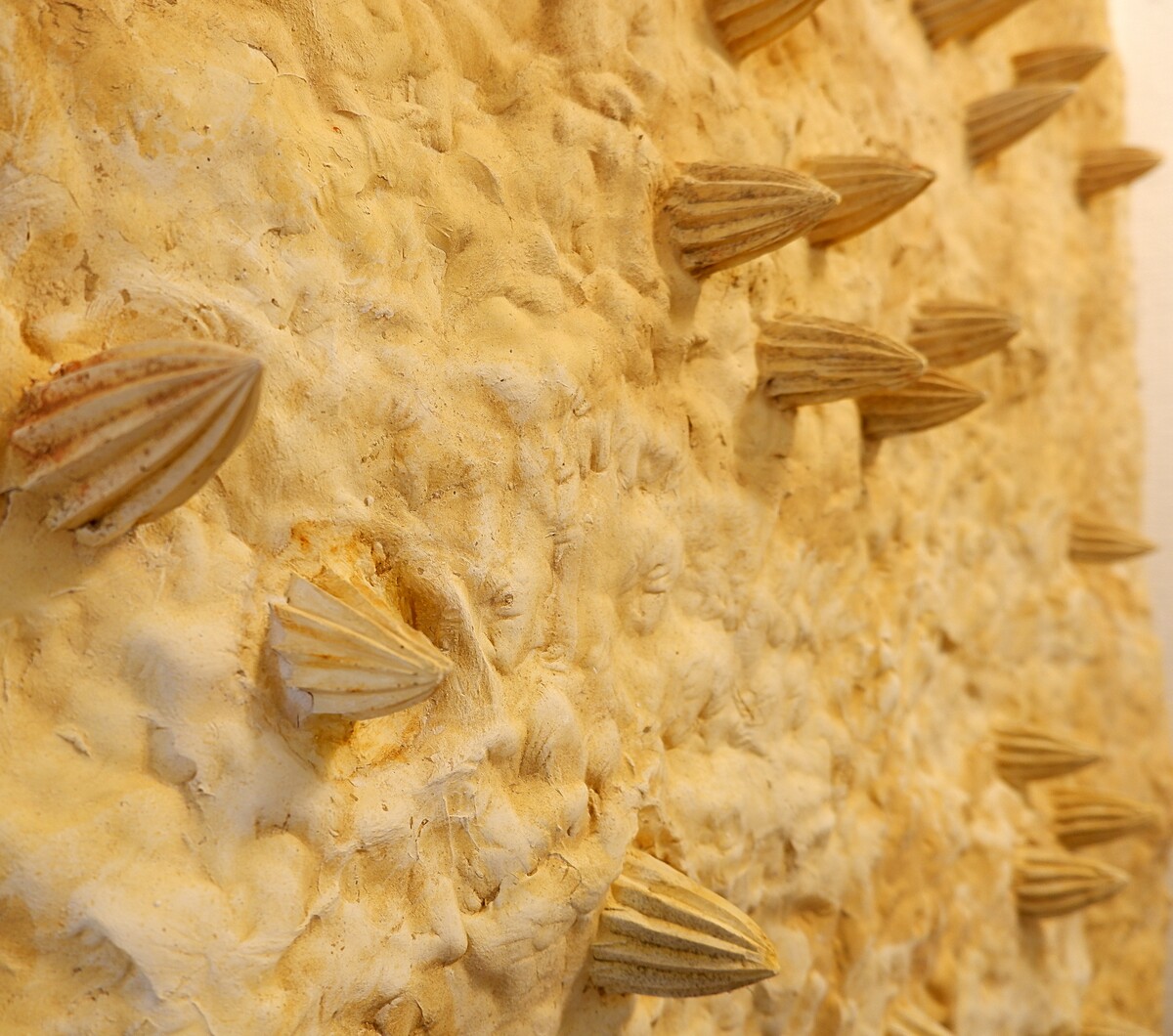 Plaster wall sculpture