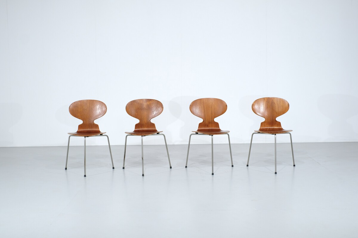 Set of 4 Ant 3100 chairs by Arne Jacobsen for Fritz Hansen - 1952s