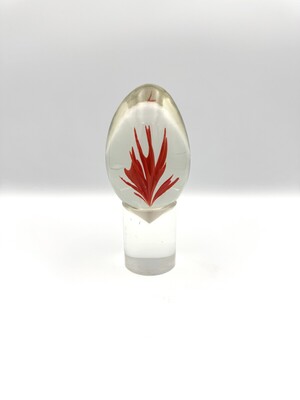 Tapio Wirkkala egg for Venini