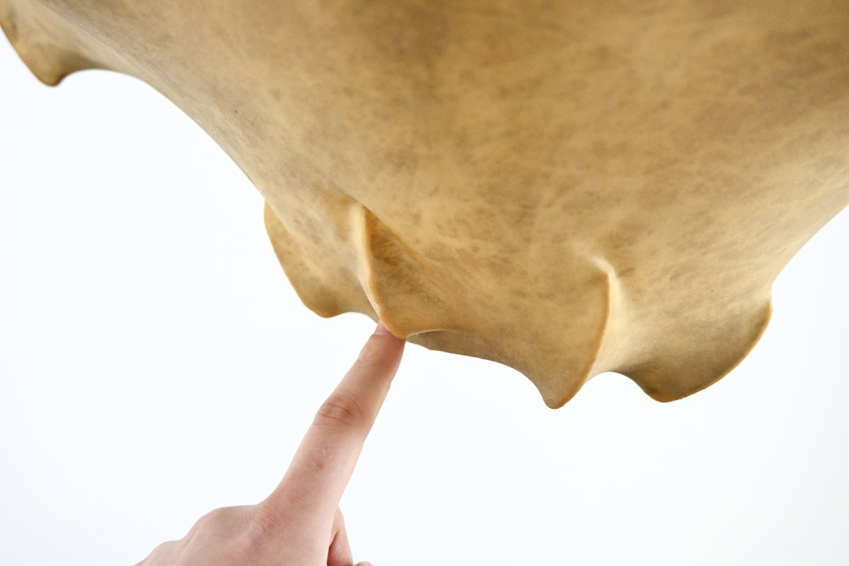 Taraxacum Pendant Lamp By Achille & Pier Giacomo Castiglioni For Flos, 1960