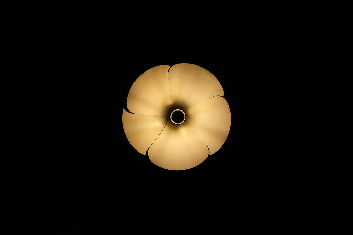 Wall Lamp 2093A by Olivier Mourgue for Disderot, France 1967